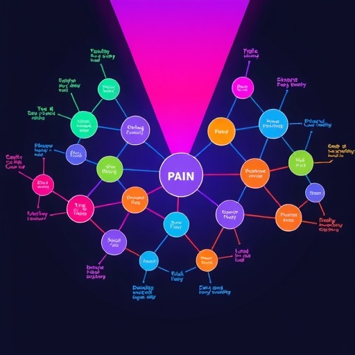 内容相关性与匹配度：深度解析用户痛点精准营销策略(图1)