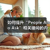如何提升“People Also Ask”相关提问的内容覆盖与问题解答效果（图4）