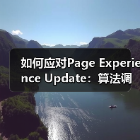 如何应对Page Experience Update：算法调整背后的标准突破（图1）