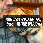 如何巧妙实现知识面板优化，展现品牌核心实体信息（图4）