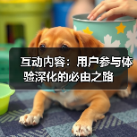 互动内容：用户参与体验深化的必由之路（图2）