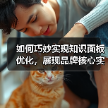 如何巧妙实现知识面板优化，展现品牌核心实体信息（图1）