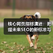 核心网页指标演进：把握未来SEO的新标准与持续更新（图4）