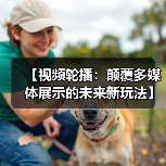 【视频轮播：颠覆多媒体展示的未来新玩法】（图2）
