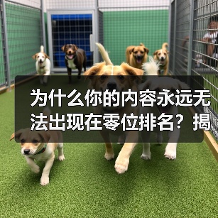 为什么你的内容永远无法出现在零位排名？揭秘Featured Snippet Optimization的真相！（图4）