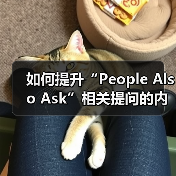 如何提升“People Also Ask”相关提问的内容覆盖与问题解答效果(图3) 如何提升“People Also Ask”相关提问的内容覆盖与问题解答效果(图3)