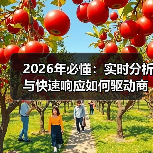 2026年必懂：实时分析与快速响应如何驱动商业变革（图3）