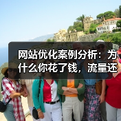 网站优化案例分析：为什么你花了钱，流量还是上不来？（图3）