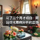花了三个月才明白：网站优化案例分析的正确做法（图2）