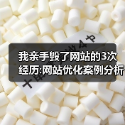 我亲手毁了网站的3次经历:网站优化案例分析（图3）