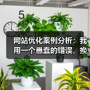 网站优化案例分析：我用一个愚蠢的错误，换来了44.7%的流量提升（图1）