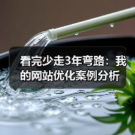 看完少走3年弯路：我的网站优化案例分析（图1）