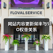 网站内容更新频率与SEO权重关系（图2）