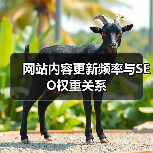 网站内容更新频率与SEO权重关系（图4）