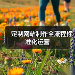 定制网站制作全流程标准化运营(图3) 定制网站制作全流程标准化运营(图3)