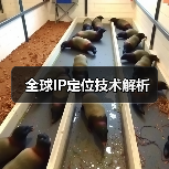 全球IP定位技术解析（图3）