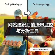 网站建设后的流量监控与分析工具（图1）