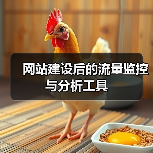网站建设后的流量监控与分析工具（图4）