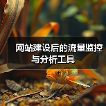 网站建设后的流量监控与分析工具（图2）