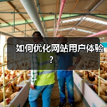 如何优化网站用户体验？（图3）