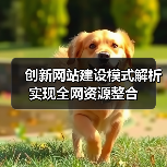 创新网站建设模式解析实现全网资源整合（图3）