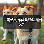 网站制作成功秘诀是什么？（图3）