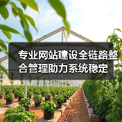 专业网站建设全链路整合管理助力系统稳定(图2) 专业网站建设全链路整合管理助力系统稳定(图2)