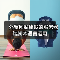 外贸网站建设的服务器端脚本语言运用（图2）