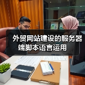 外贸网站建设的服务器端脚本语言运用（图3）