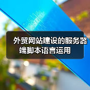 外贸网站建设的服务器端脚本语言运用（图4）
