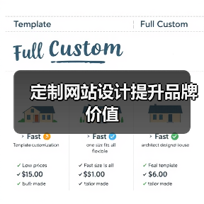 定制网站设计提升品牌价值（图4）