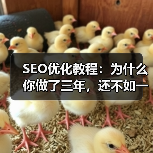 SEO优化教程：为什么你做了三年，还不如一个新站点？（图1）