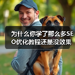 为什么你学了那么多SEO优化教程还是没效果?(图2) 为什么你学了那么多SEO优化教程还是没效果?(图2)