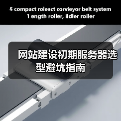 网站建设初期服务器选型避坑指南(图2) 网站建设初期服务器选型避坑指南(图2)