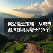 网站运营策略:从流量泡沫到利润增长的5个冷门观察(图4) 网站运营策略:从流量泡沫到利润增长的5个冷门观察(图4)