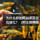 为什么你的网站运营总在瞎忙？（附实操策略）（图4）