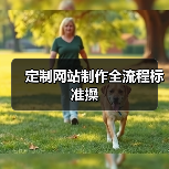 定制网站制作全流程标准操（图1）