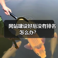 网站建设好后没有排名怎么办?(图2) 网站建设好后没有排名怎么办?(图2)