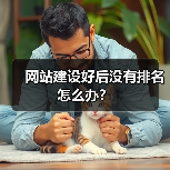 网站建设好后没有排名怎么办?(图3) 网站建设好后没有排名怎么办?(图3)