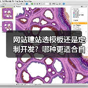 网站建站选模板还是定制开发?哪种更适合自己?(图1) 网站建站选模板还是定制开发?哪种更适合自己?(图1)