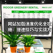 网站加载速度优化全攻略：提速技巧与实战方案（图4）