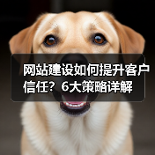 网站建设如何提升客户信任?6大策略详解(图1) 网站建设如何提升客户信任?6大策略详解(图1)