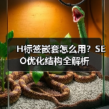 H标签嵌套怎么用?SEO优化结构全解析(图3) H标签嵌套怎么用?SEO优化结构全解析(图3)