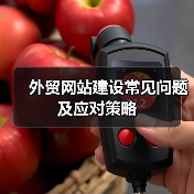 外贸网站建设常见问题及应对策略(图4) 外贸网站建设常见问题及应对策略(图4)