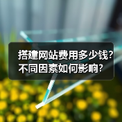 搭建网站费用多少钱?不同因素如何影响?(图4) 搭建网站费用多少钱?不同因素如何影响?(图4)