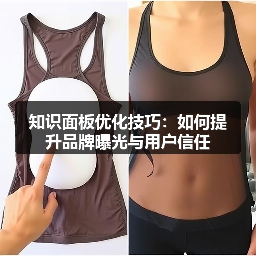 知识面板优化技巧：如何提升品牌曝光与用户信任(图1)