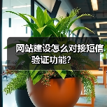 网站建设怎么对接短信验证功能?(图2) 网站建设怎么对接短信验证功能?(图2)