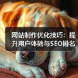 网站制作优化技巧:提升用户体验与SEO排名全攻略(图1) 网站制作优化技巧:提升用户体验与SEO排名全攻略(图1)