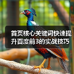 首页核心关键词快速提升百度前3的实战技巧(图4) 首页核心关键词快速提升百度前3的实战技巧(图4)