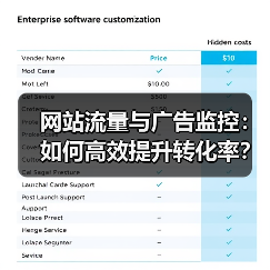 网站流量与广告监控:如何高效提升转化率?(图1) 网站流量与广告监控:如何高效提升转化率?(图1)